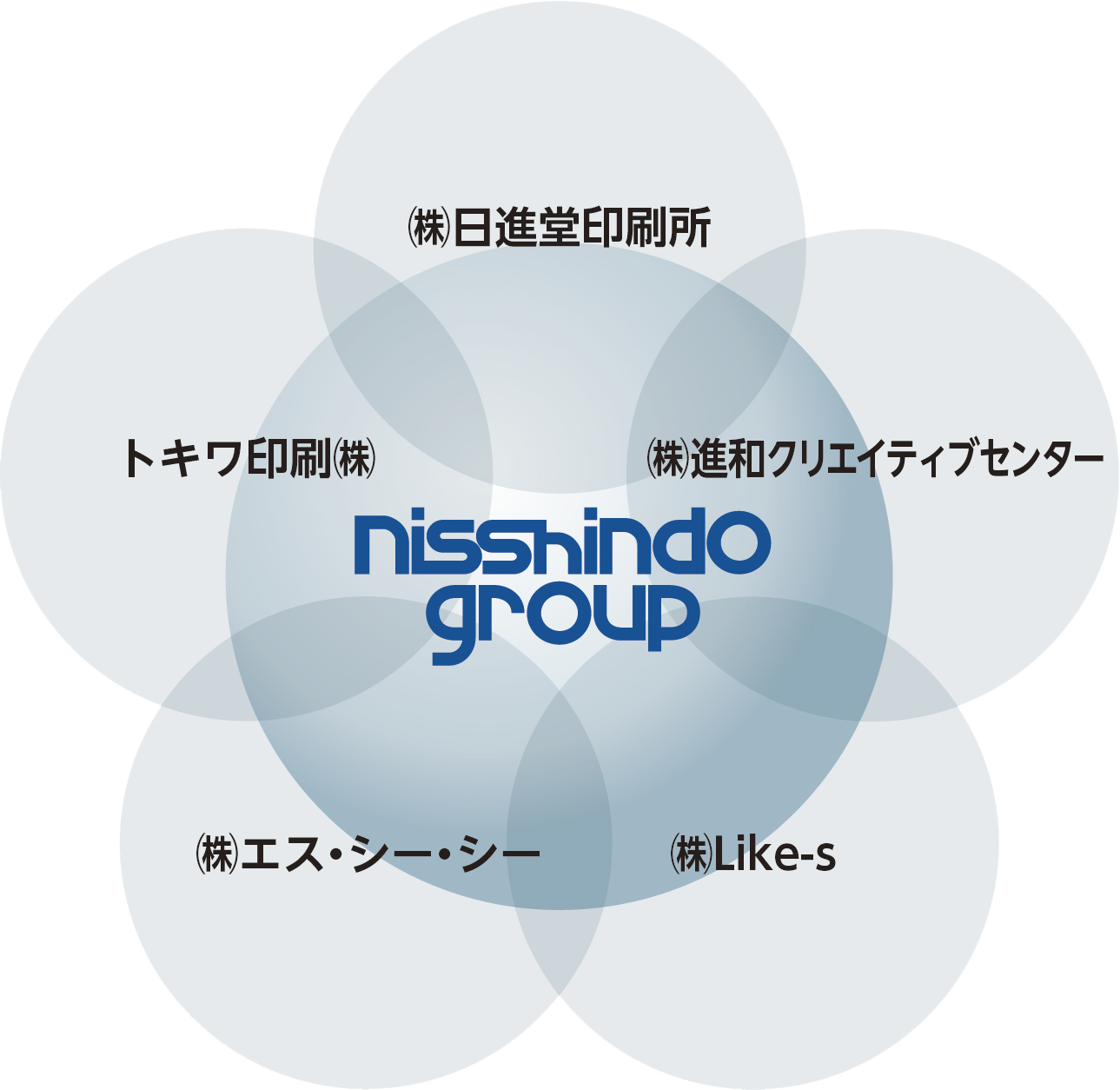 nisshindo group